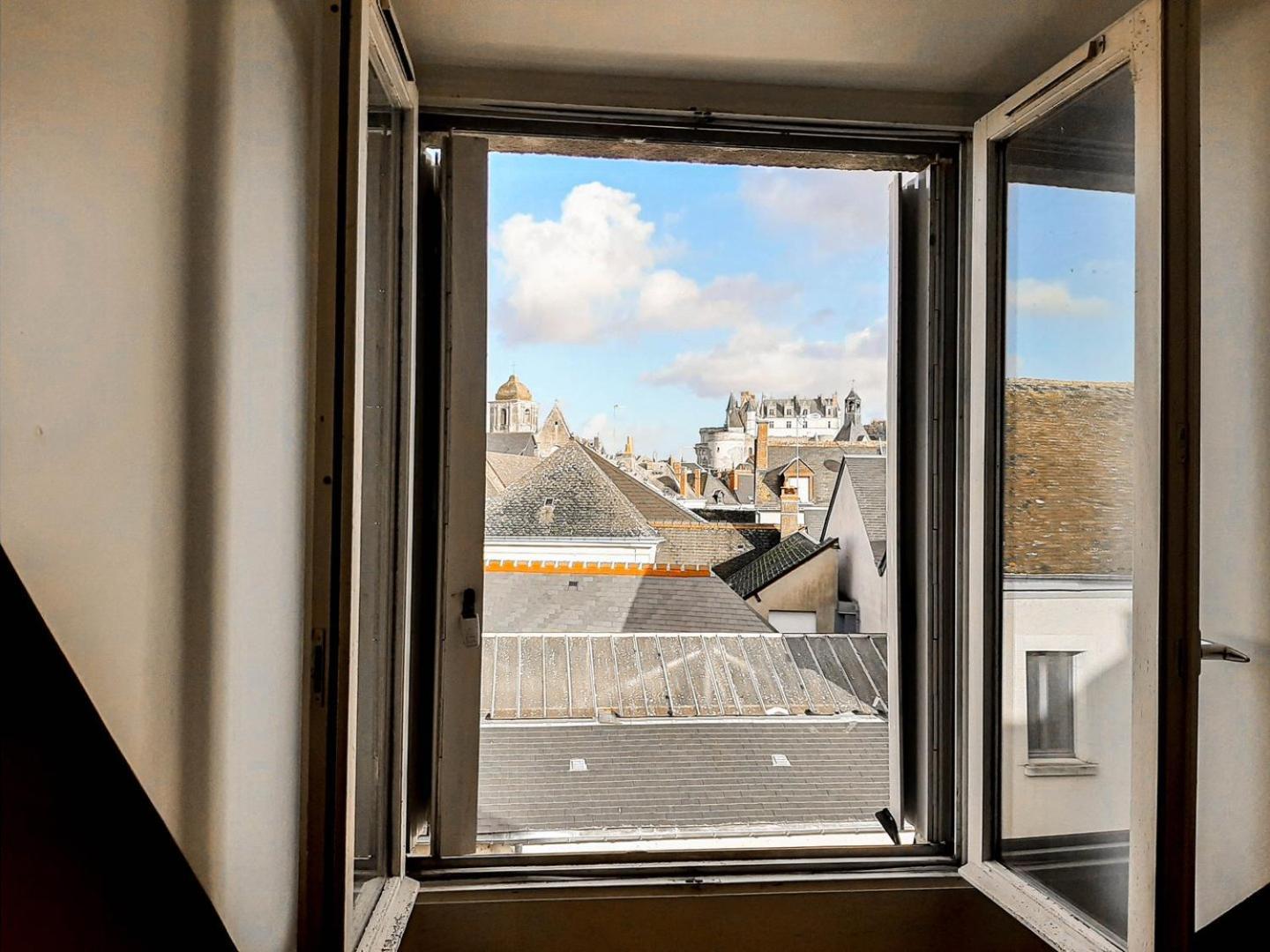 Large T2 with view of the Château d'Amboise Extérieur photo