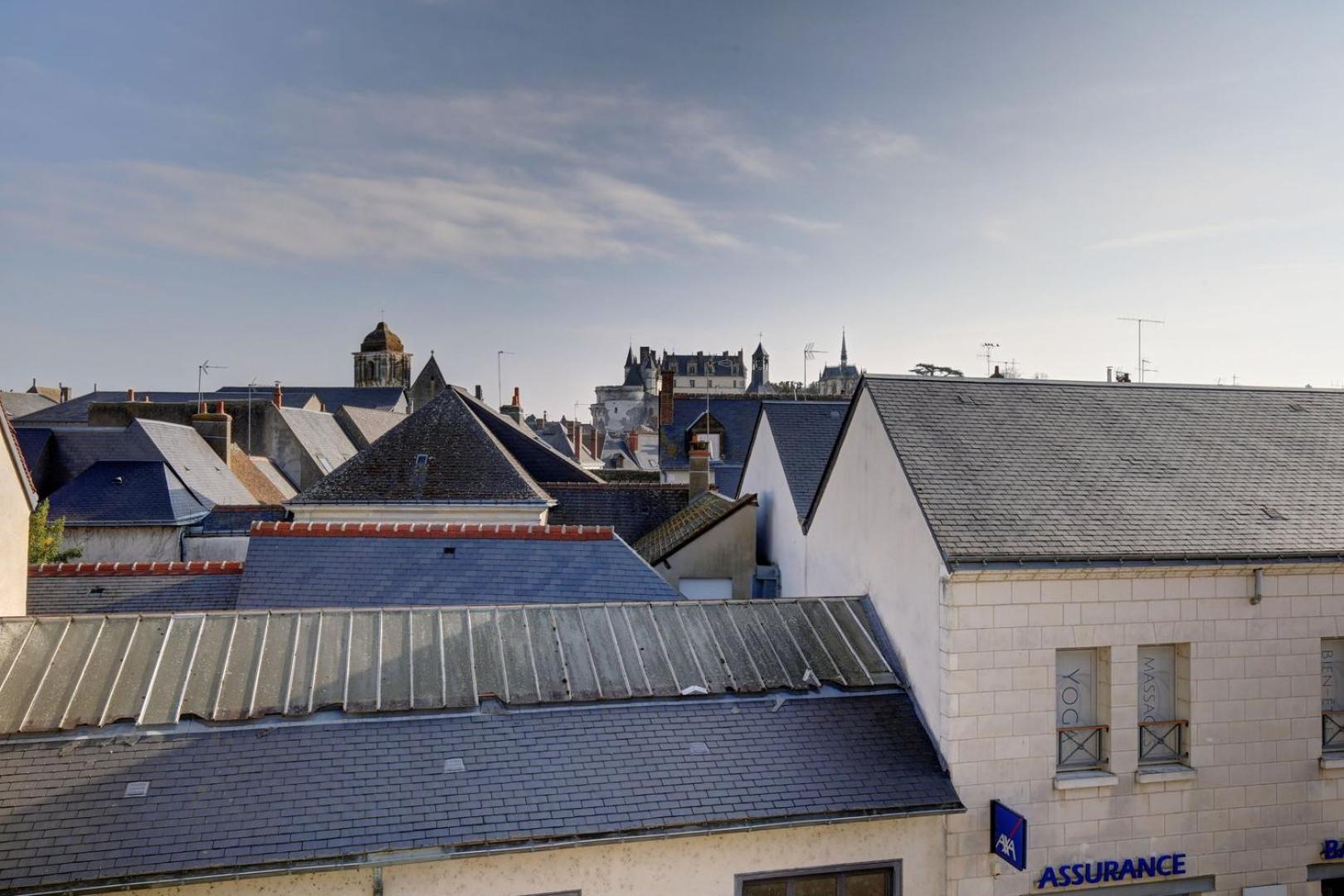 Large T2 with view of the Château d'Amboise Extérieur photo