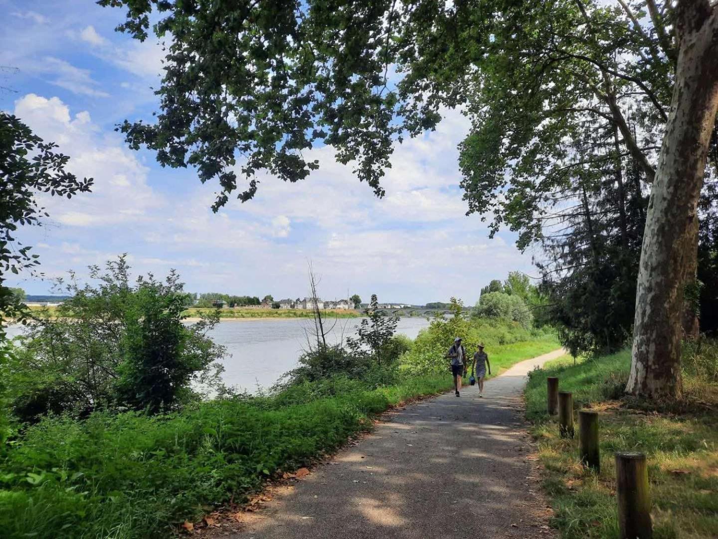 Large T2 with view of the Château d'Amboise Extérieur photo